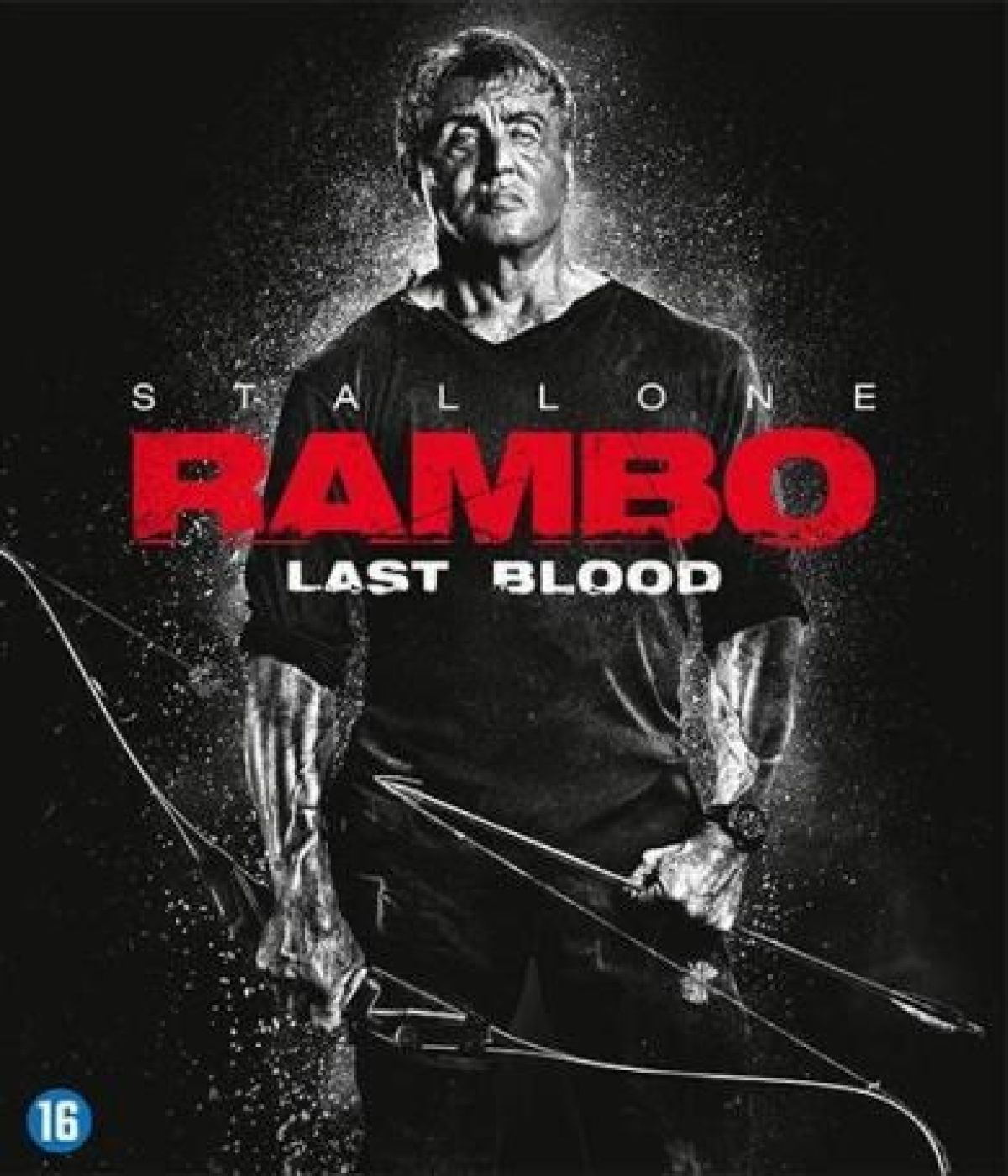Afbeelding van Rambo - Last Blood