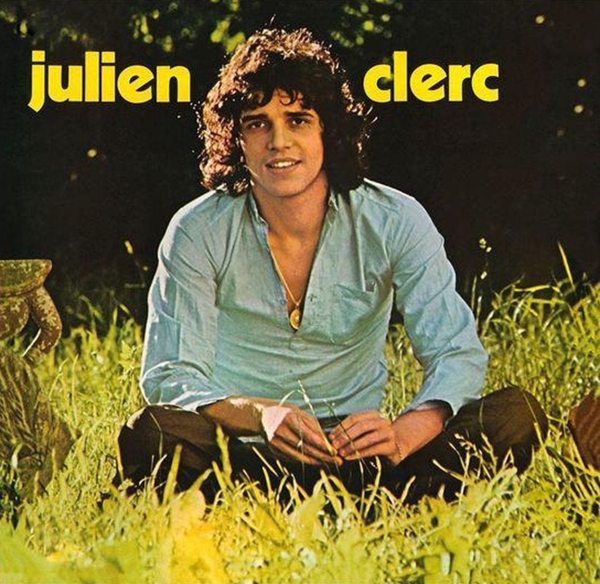 Afbeelding van Julien Clerc - Niagara