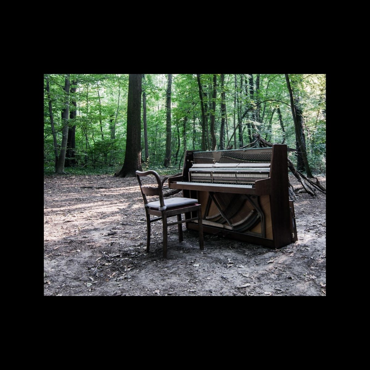 Afbeelding van The Eye Of Time - Acoustic II