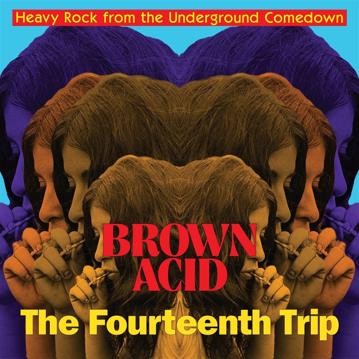 Afbeelding van Various Artists - Brown Acid: The Fourtheenth Trip