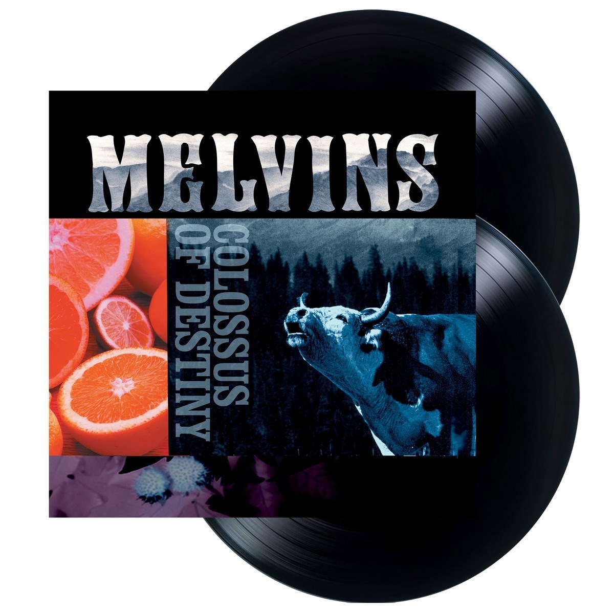 Afbeelding van Melvins - Colossus Of Destiny