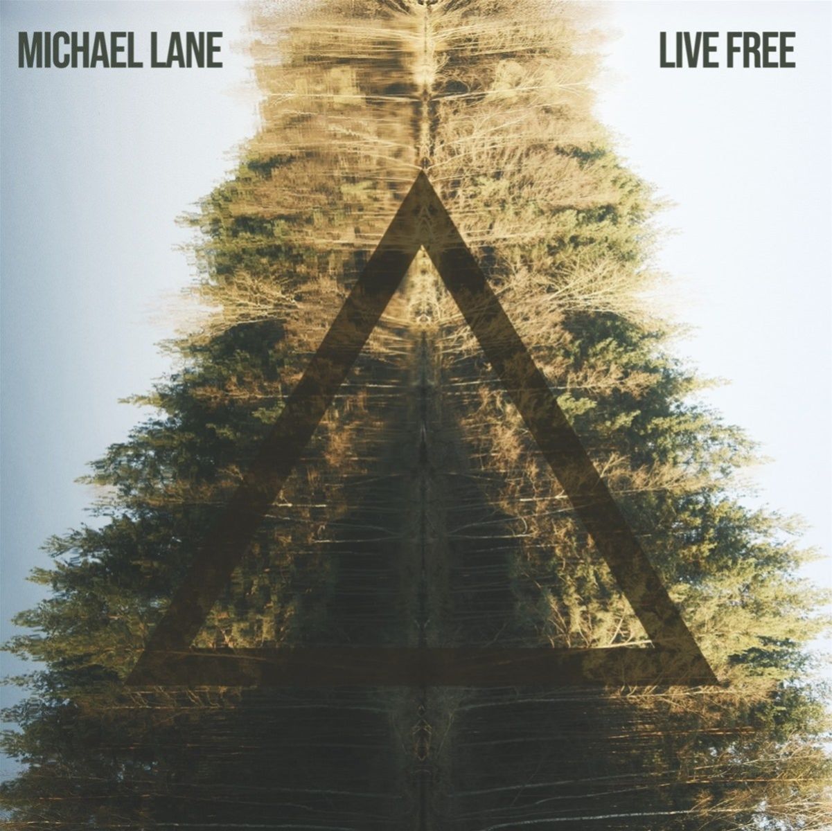 Afbeelding van Michael Lane - Live Free