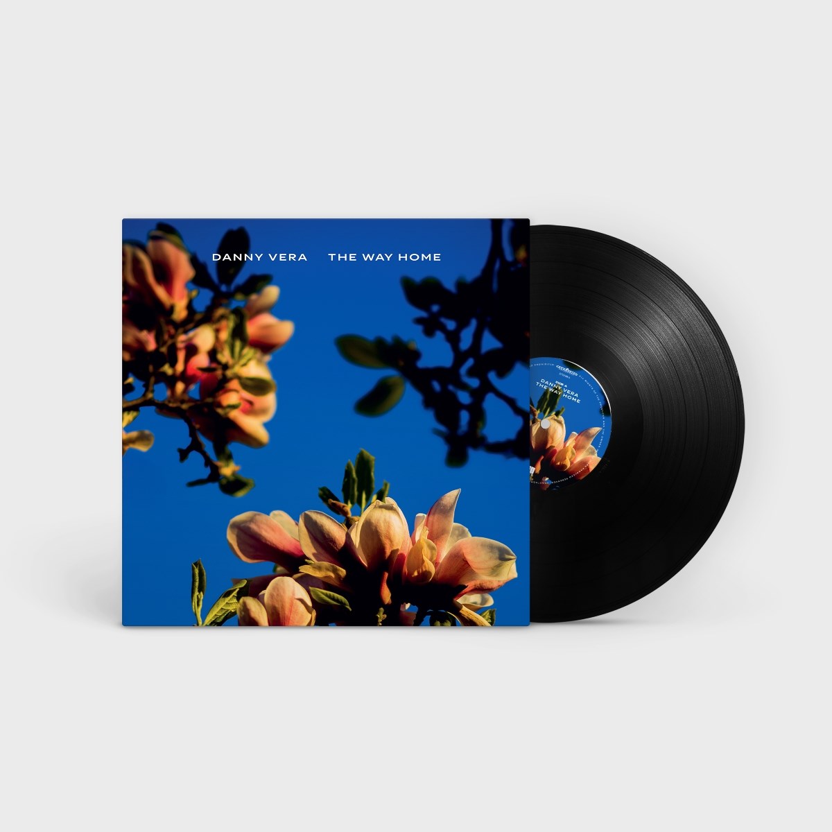 Afbeelding van Danny Vera - The Way Home