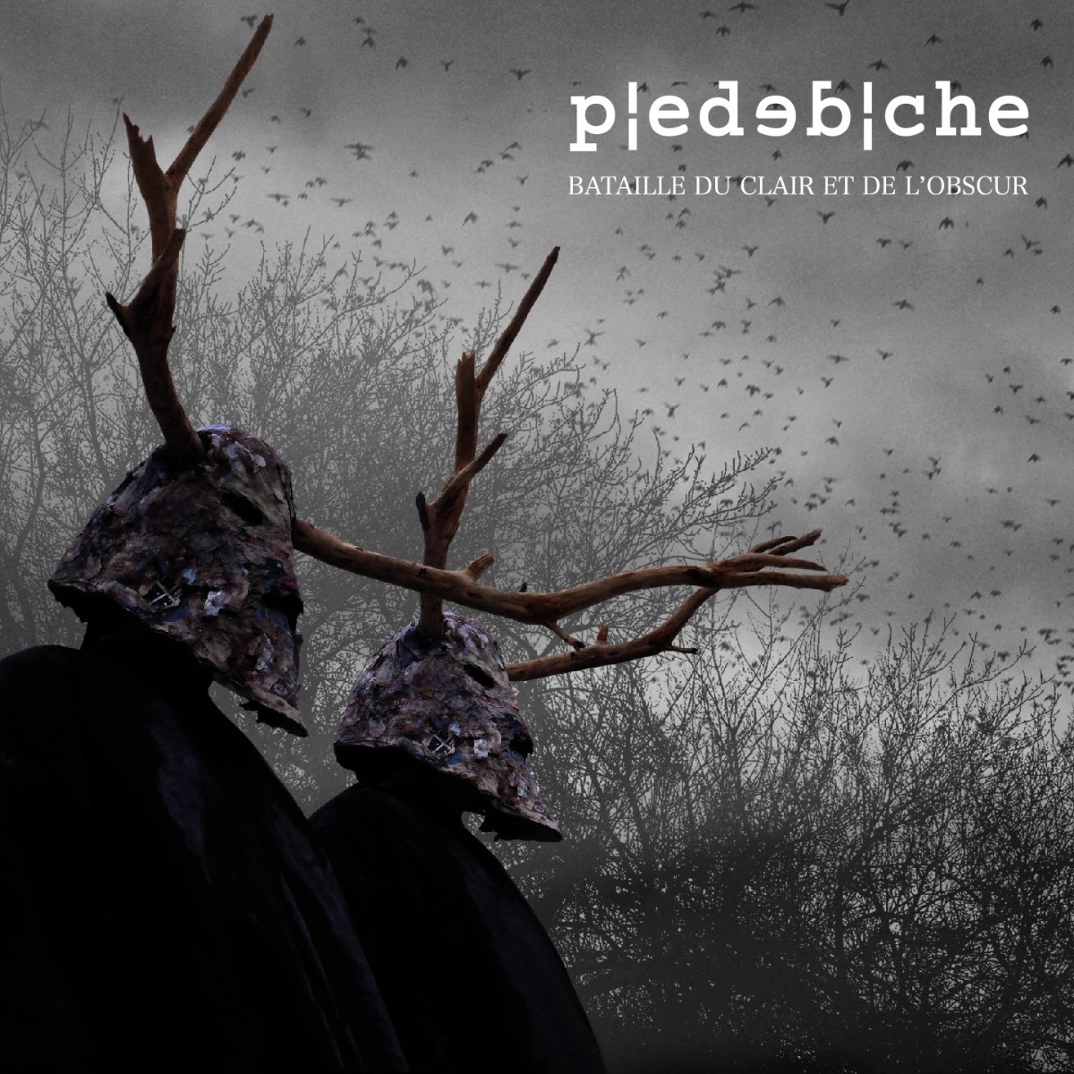 Afbeelding van Piedebiche - Bataille Du Clair Et De L'Obscur