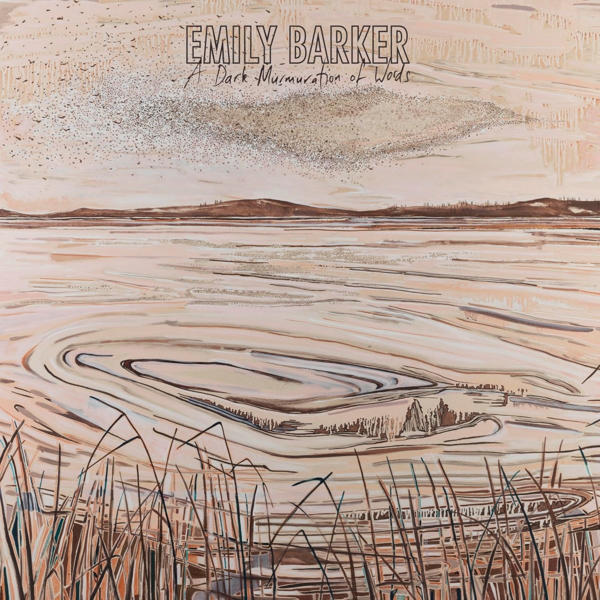 Afbeelding van Emily Barker - A Dark Murmuration Of Words