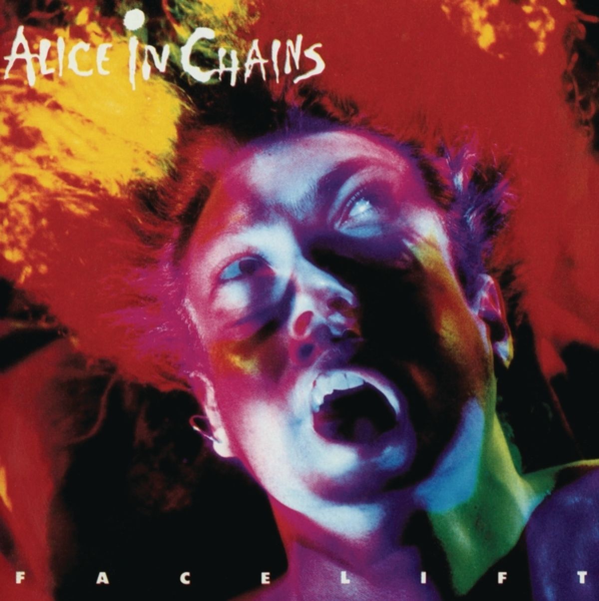 Afbeelding van Alice In Chains - Facelift