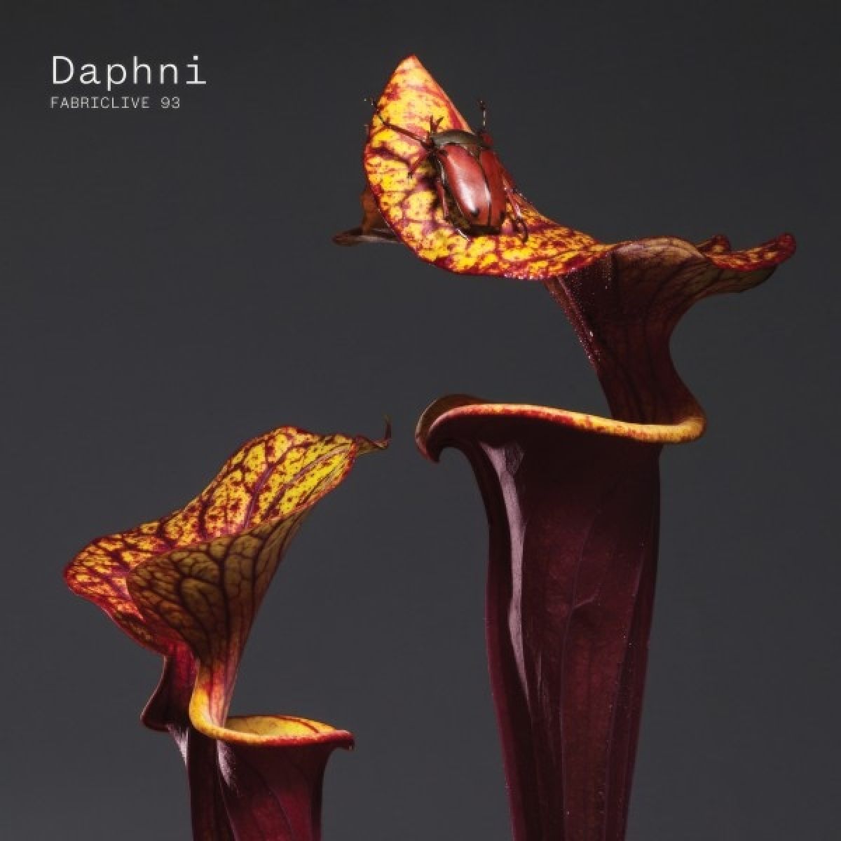 Afbeelding van Daphni - Fabriclive 93 Daphni