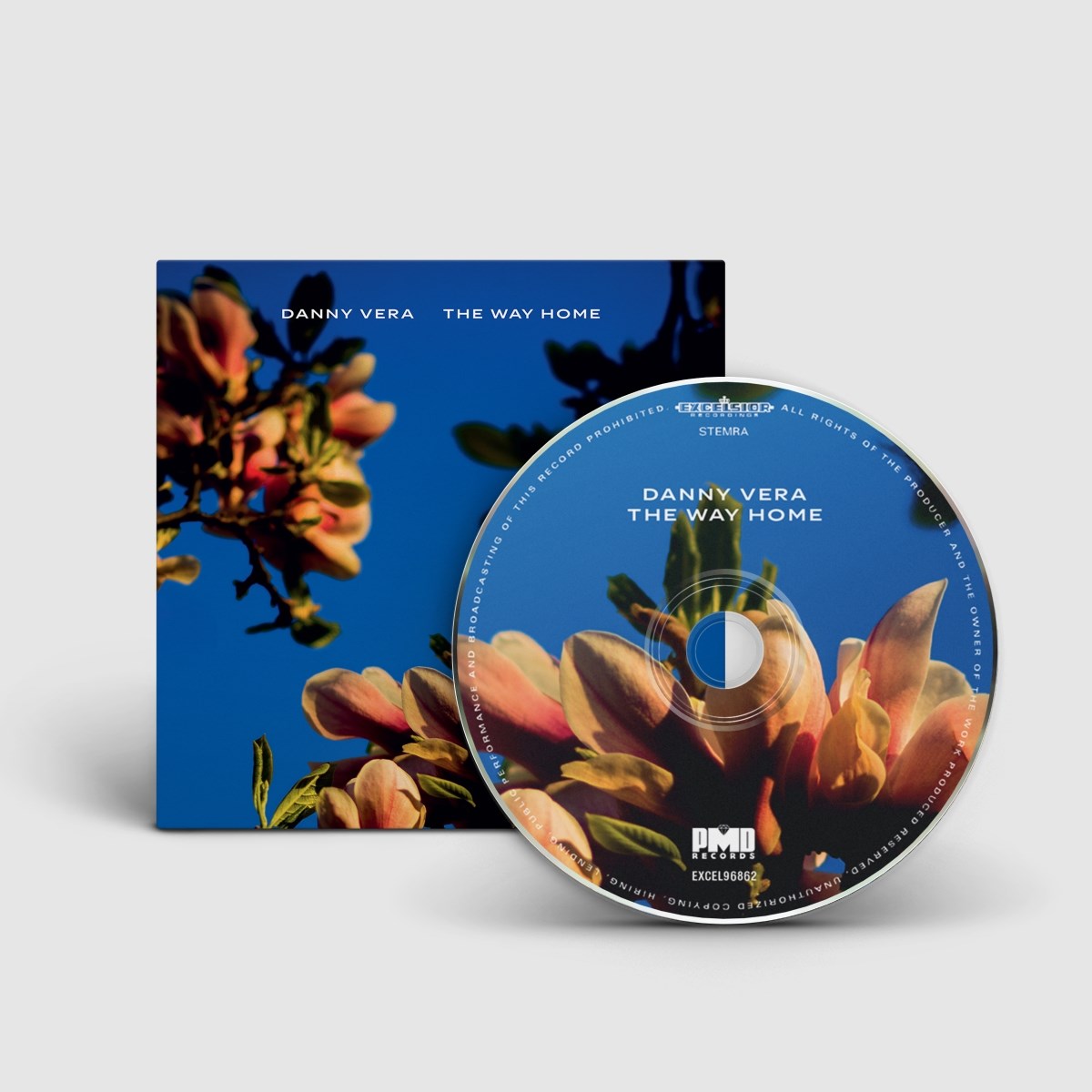 Afbeelding van Danny Vera - The Way Home