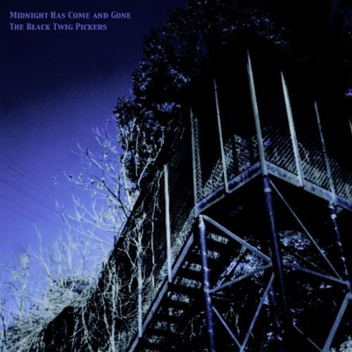 Afbeelding van Black Twigs - Midnight Has Come And Gone