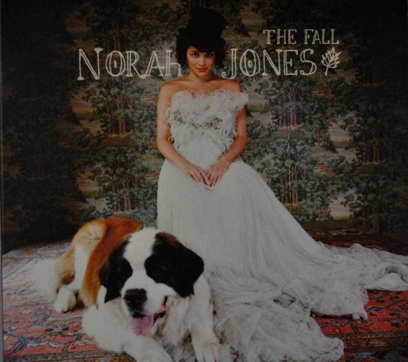 Afbeelding van Norah Jones - The Fall