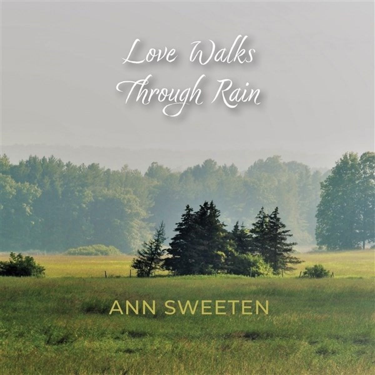 Afbeelding van Ann Sweeten - Love Walks Through Rain