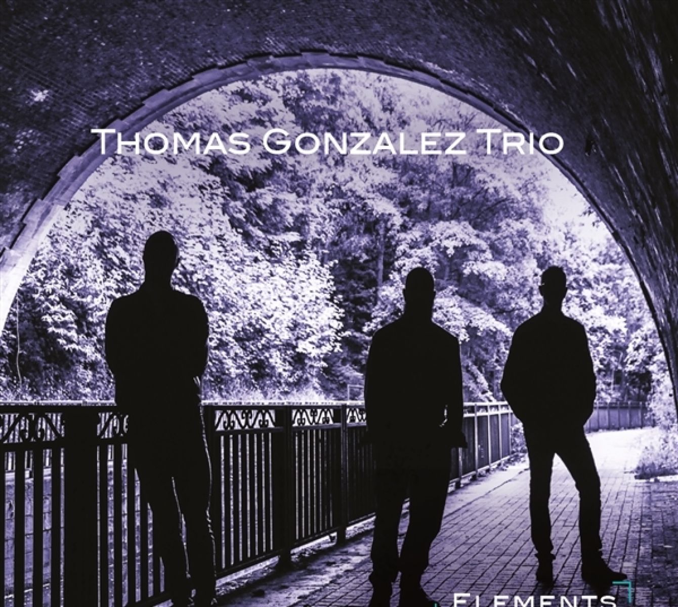 Afbeelding van Thomas Gonzalez Trio - Elements