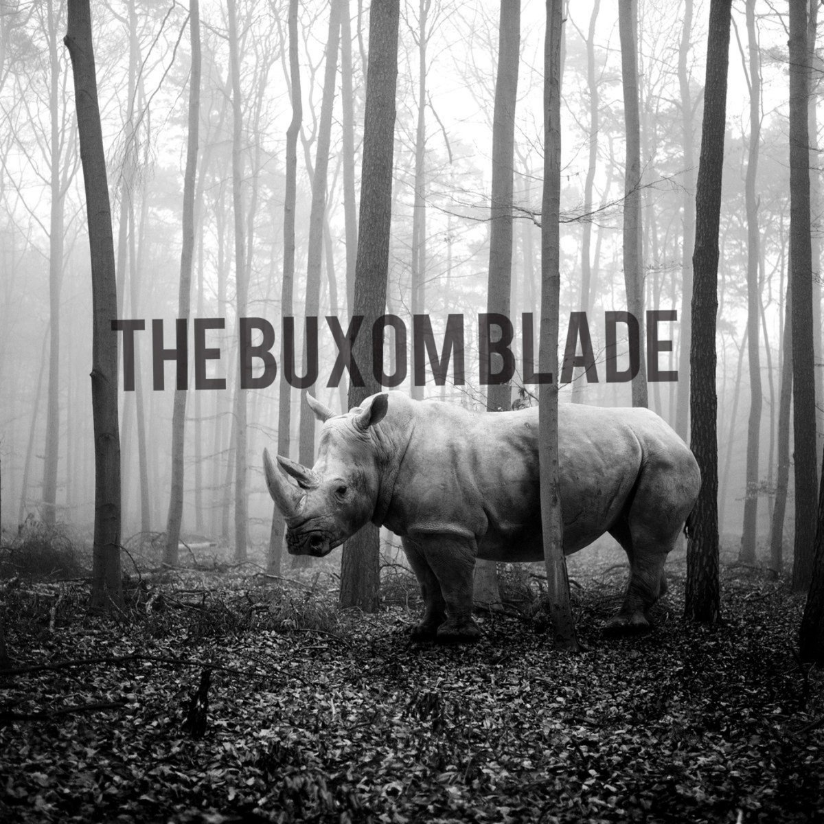 Buxom Blade - The Buxom Blade