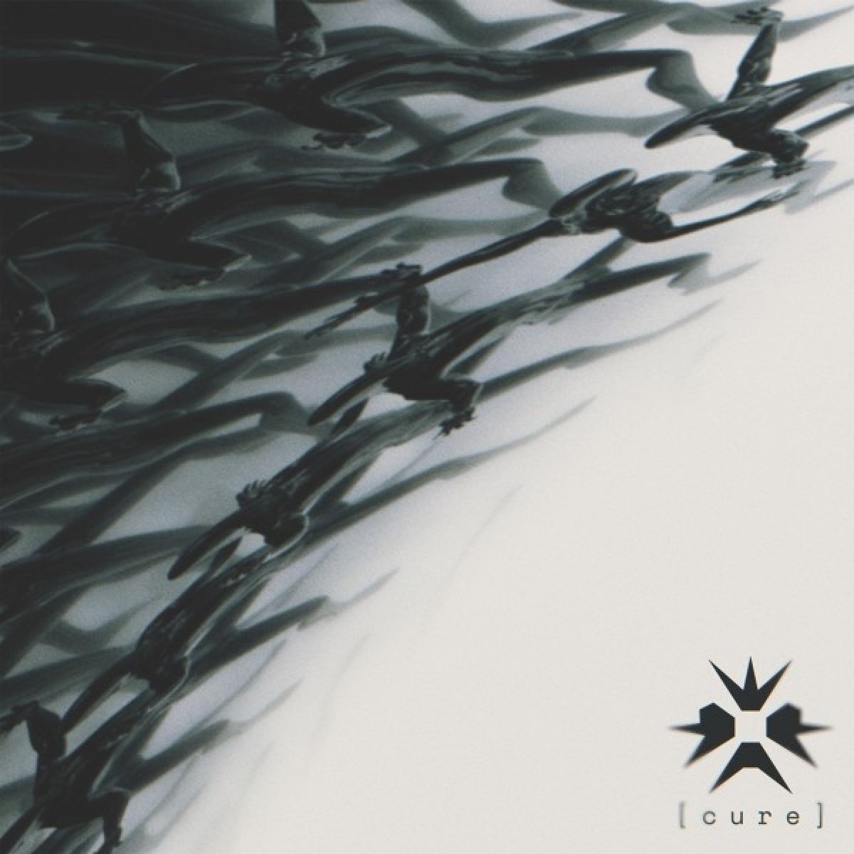 Afbeelding van Erra - Cure