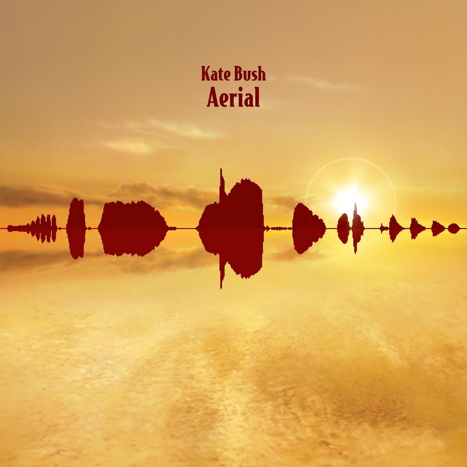Afbeelding van Kate Bush - Aerial