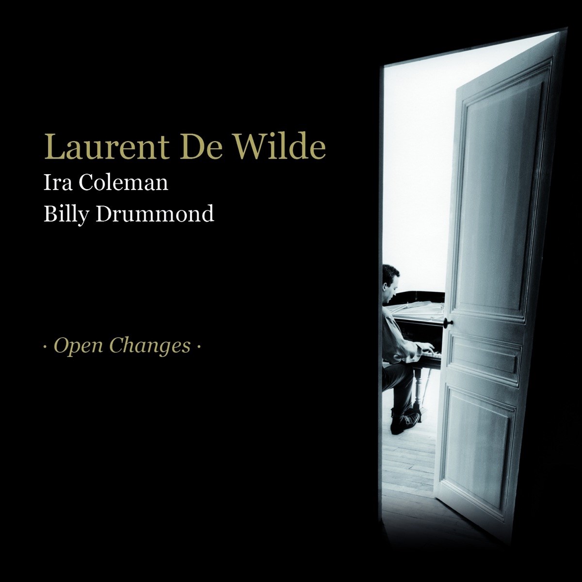 Afbeelding van Laurent De Wilde, Ira Coleman, Billy Drummond - . Open Changes .