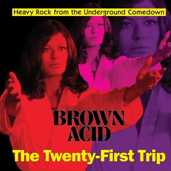Afbeelding van Various Artists - Brown Acid: The Twenty-First Trip