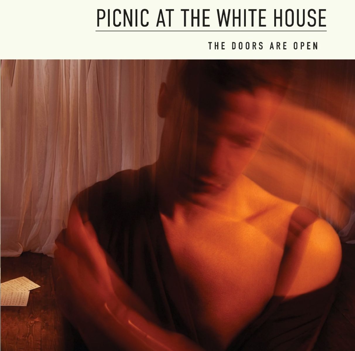 Afbeelding van Picnic At The Whitehouse - The Doors Are Open