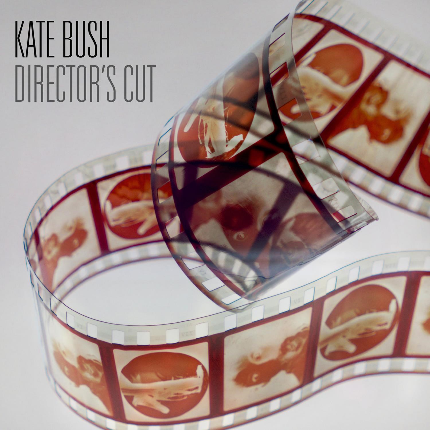 Afbeelding van Kate Bush - Director's Cut