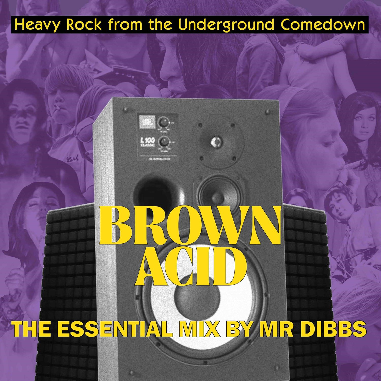 Afbeelding van Various Artists - Brown Acid: The Essential Mix By Mr. Dibbs