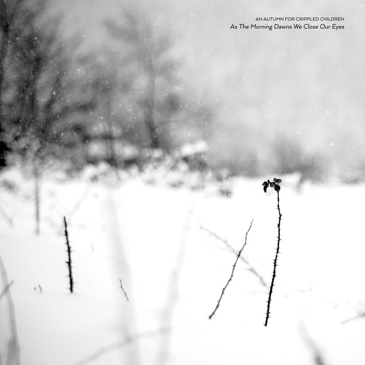 Afbeelding van An Autumn For Crippled Children - As The Morning Dawns We Close Our Eyes