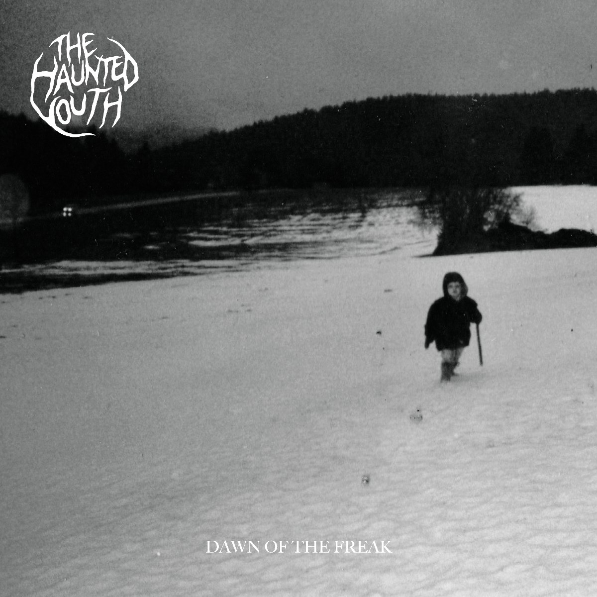 Afbeelding van Haunted Youth - Dawn Of The Freak