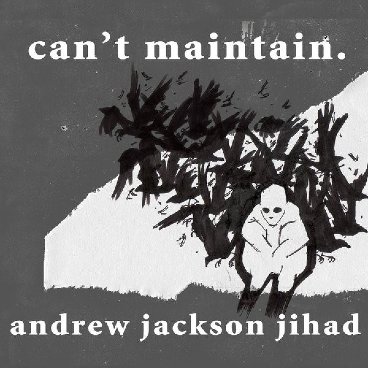 Afbeelding van Andrew Jackson Jihad - Can't Maintain