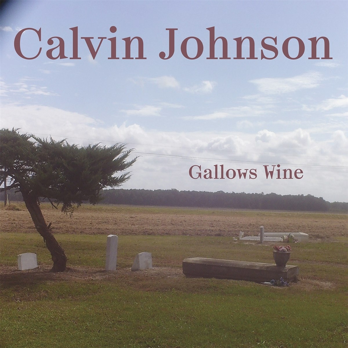 Afbeelding van Calvin Johnson - Gallows Wine