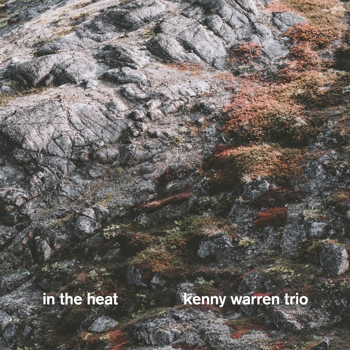 Kenny Warren Trio - In The Heat