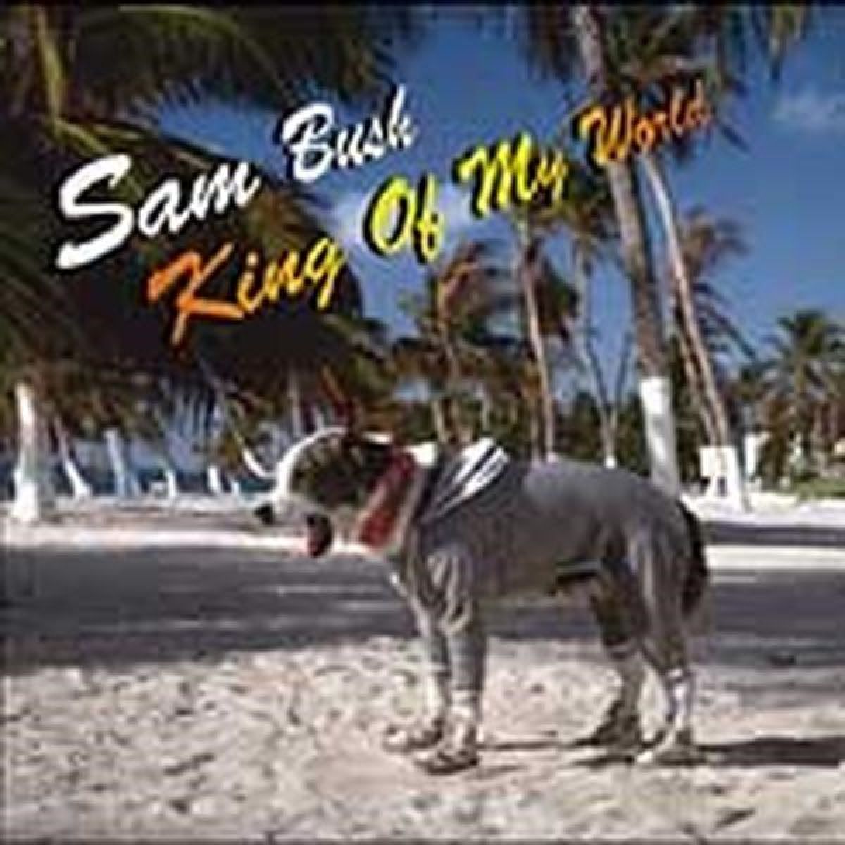 Afbeelding van Sam Bush - King Of My World