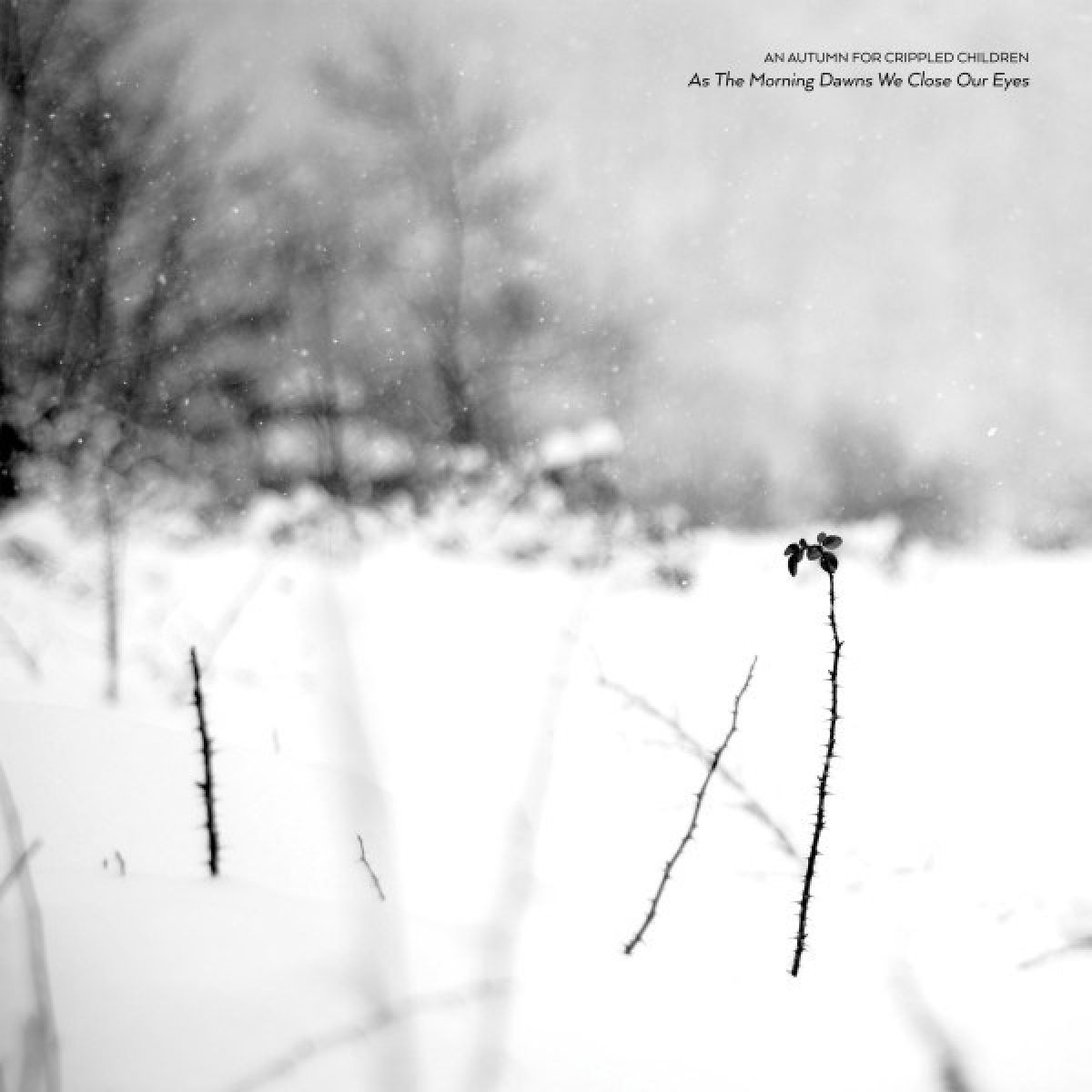 Afbeelding van An Autumn For Crippled Children - As The Morning Dawns We Close Our Eyes