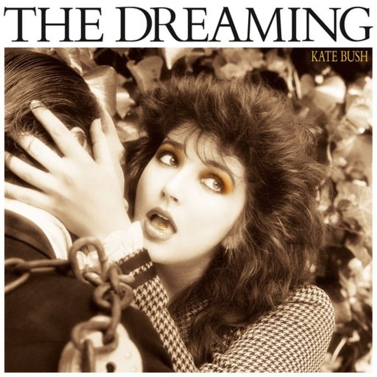 Afbeelding van Kate Bush - The Dreaming
