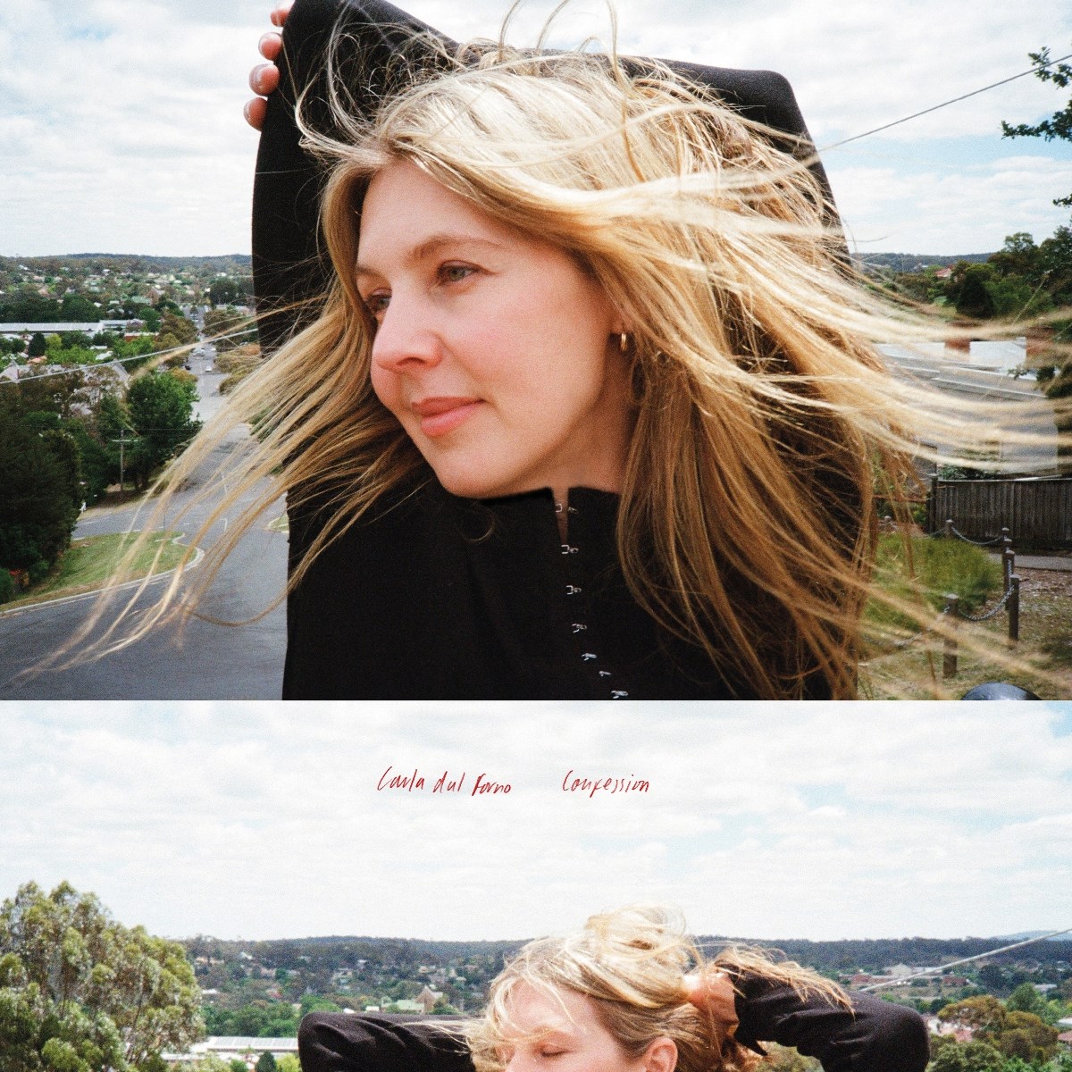 Afbeelding van Carla Dal Forno - Confession