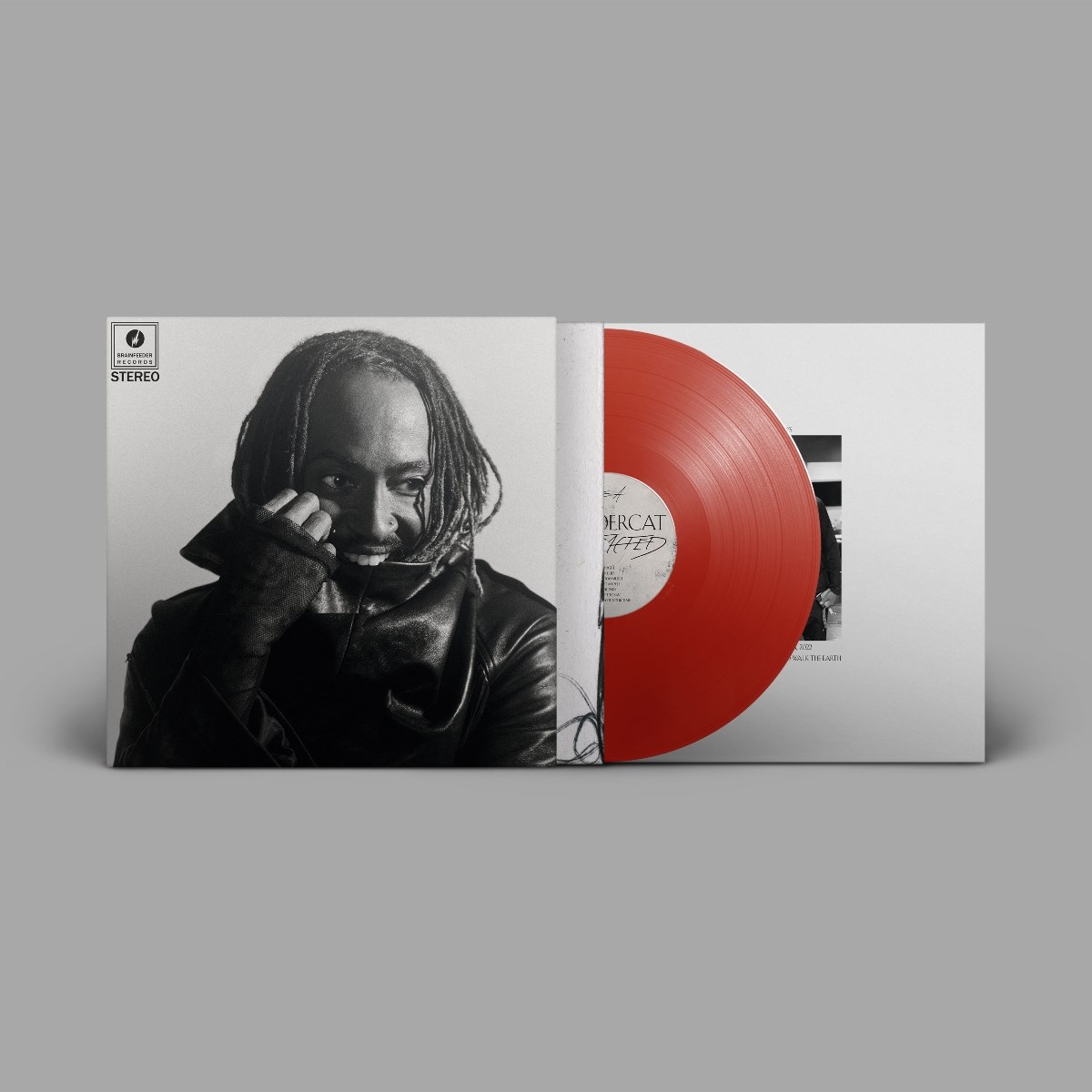 Afbeelding van Thundercat - Distracted