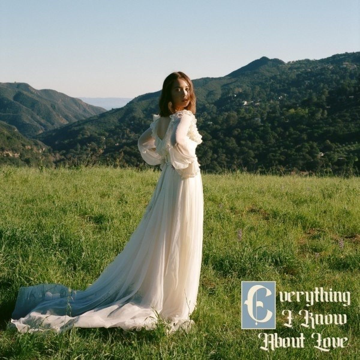 Afbeelding van Everything I Know About Love