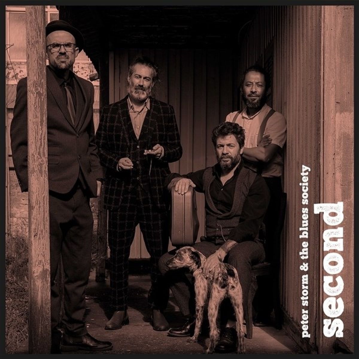 Afbeelding van Peter Storm & The Blues Society - Second