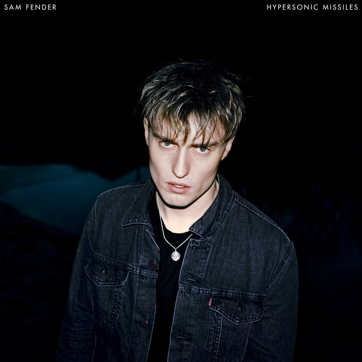 Afbeelding van Sam Fender - Hypersonic Missiles