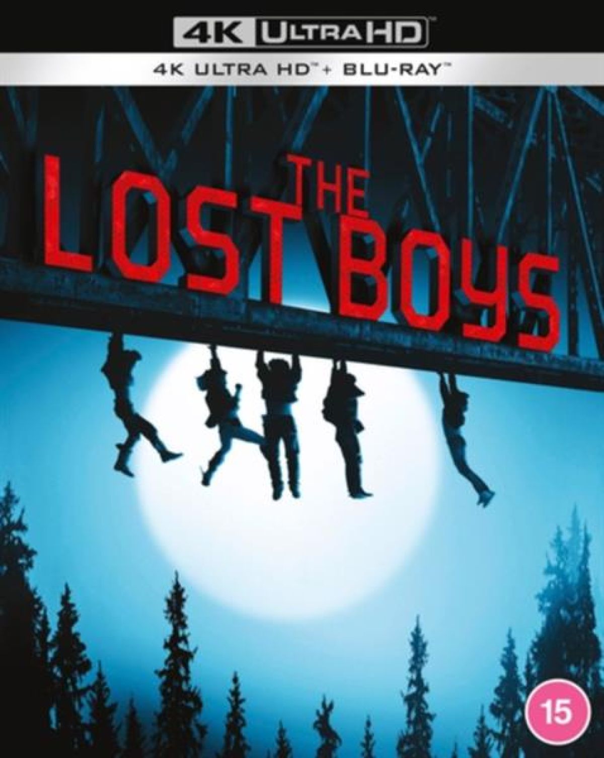 Afbeelding van The Lost Boys