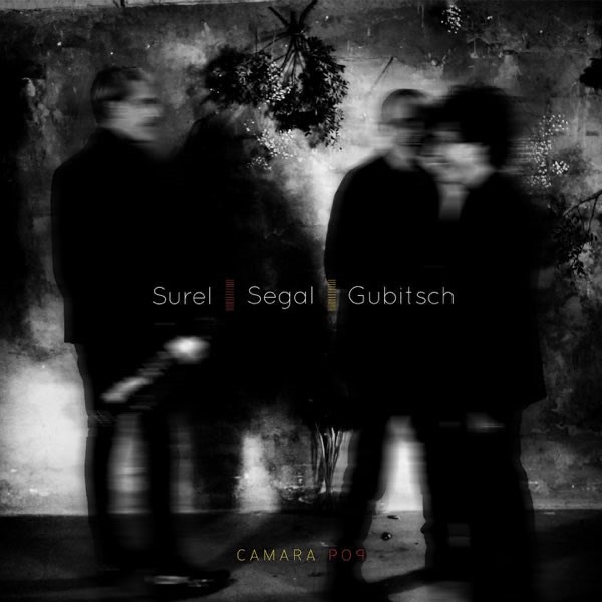 Sébastien Surel, Vincent Segal, Tomás Gubitsch - Camara Pop