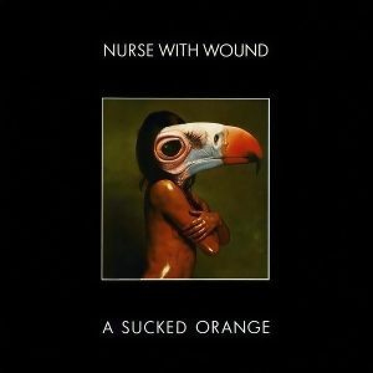 Nurse With Wound - A Sucked Orange