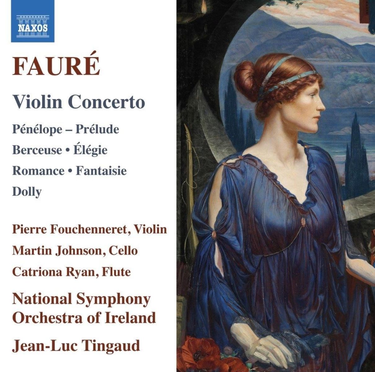 Afbeelding van Pierre Fouchenneret, Martin Johnson, National Symphony Orchestra Of Ireland - Fauré: Orchestral Works