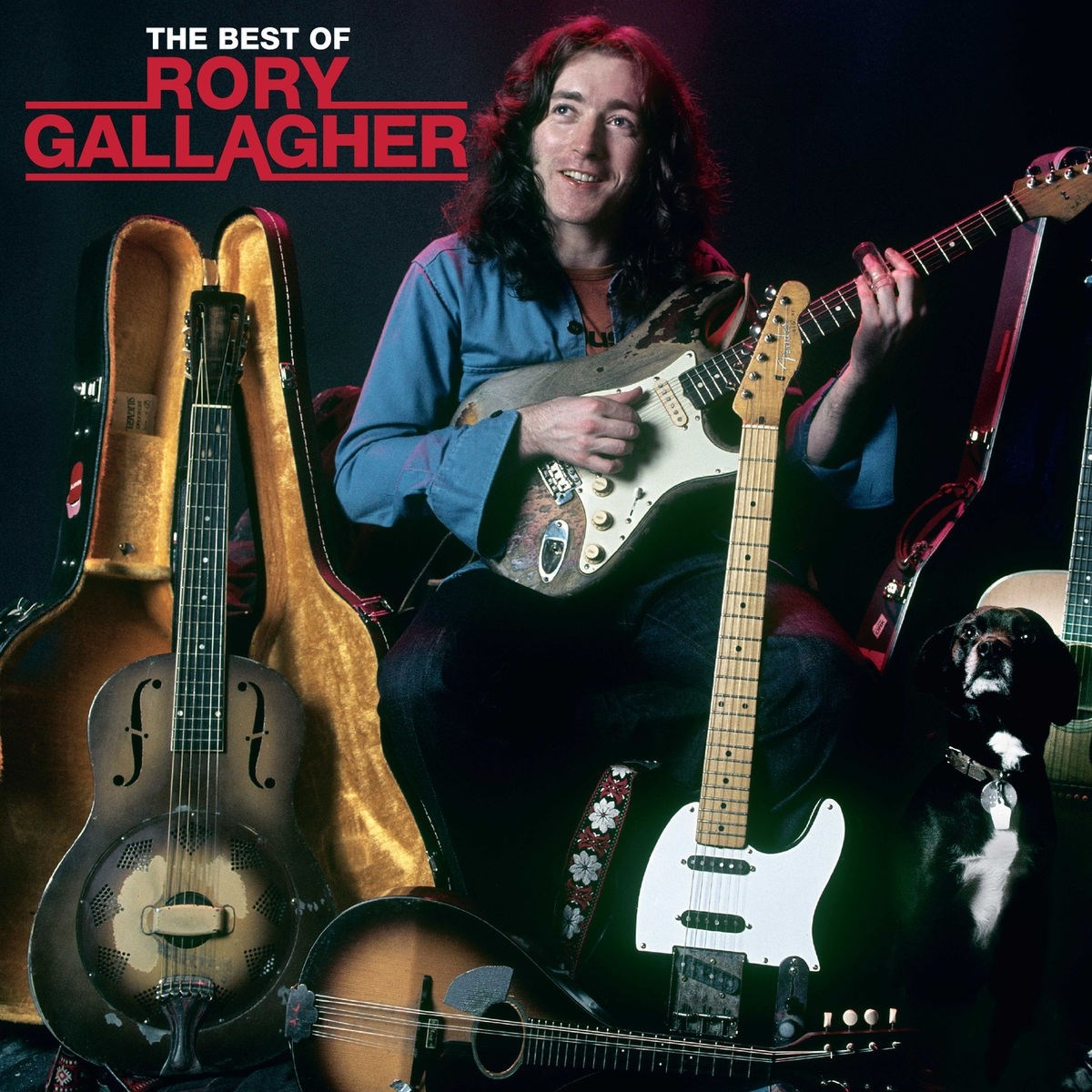 Afbeelding van Rory Gallagher - The Best Of Rory Gallagher