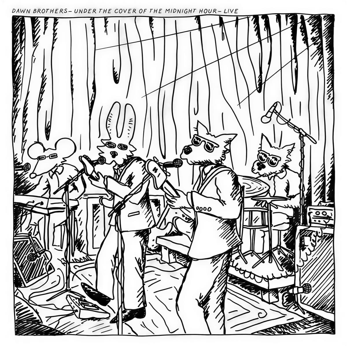 Afbeelding van Dawn Brothers - Under The Cover Of The Midnight Hour: Live