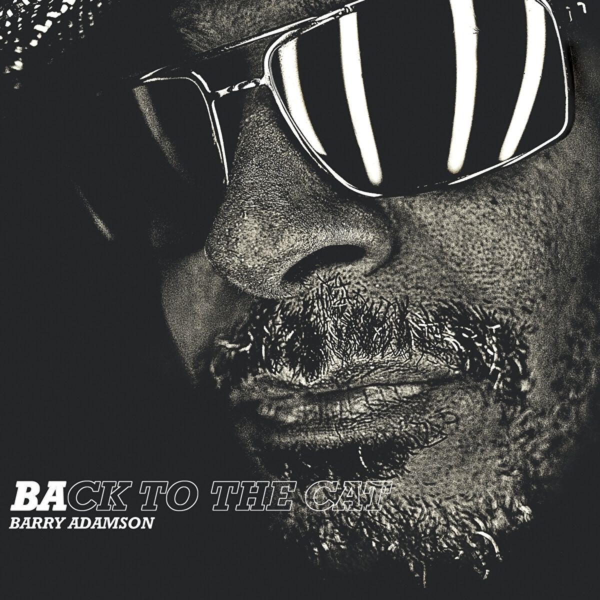 Afbeelding van Barry Adamson - Back To The Cat