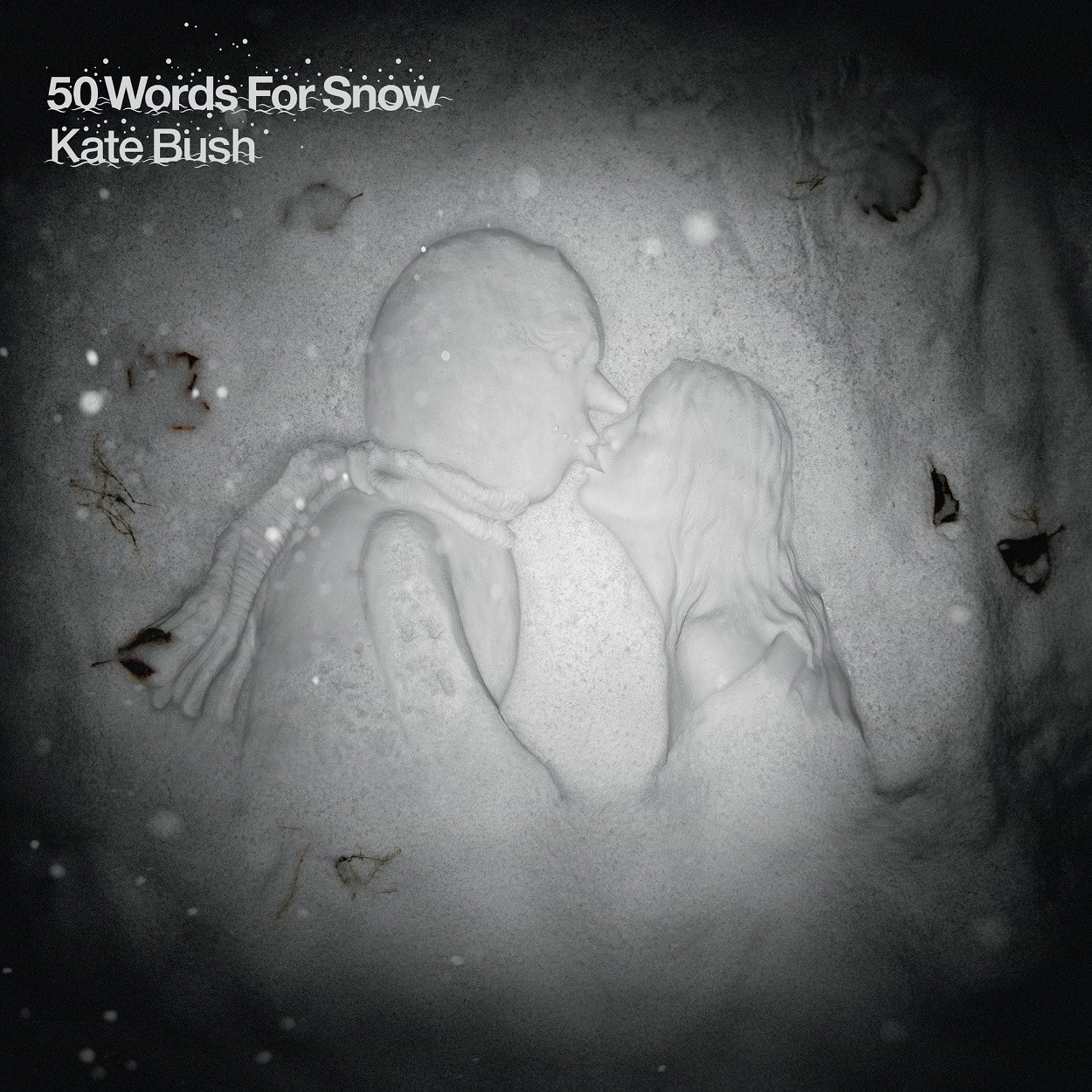 Afbeelding van Kate Bush - 50 Words for Snow