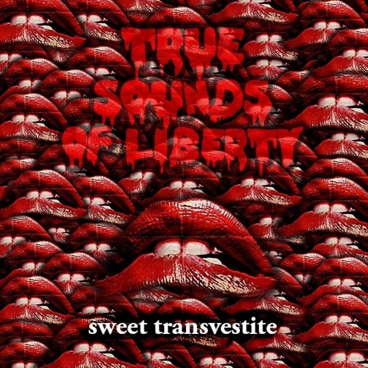 Afbeelding van T.S.O.L. - Sweet Transvestite