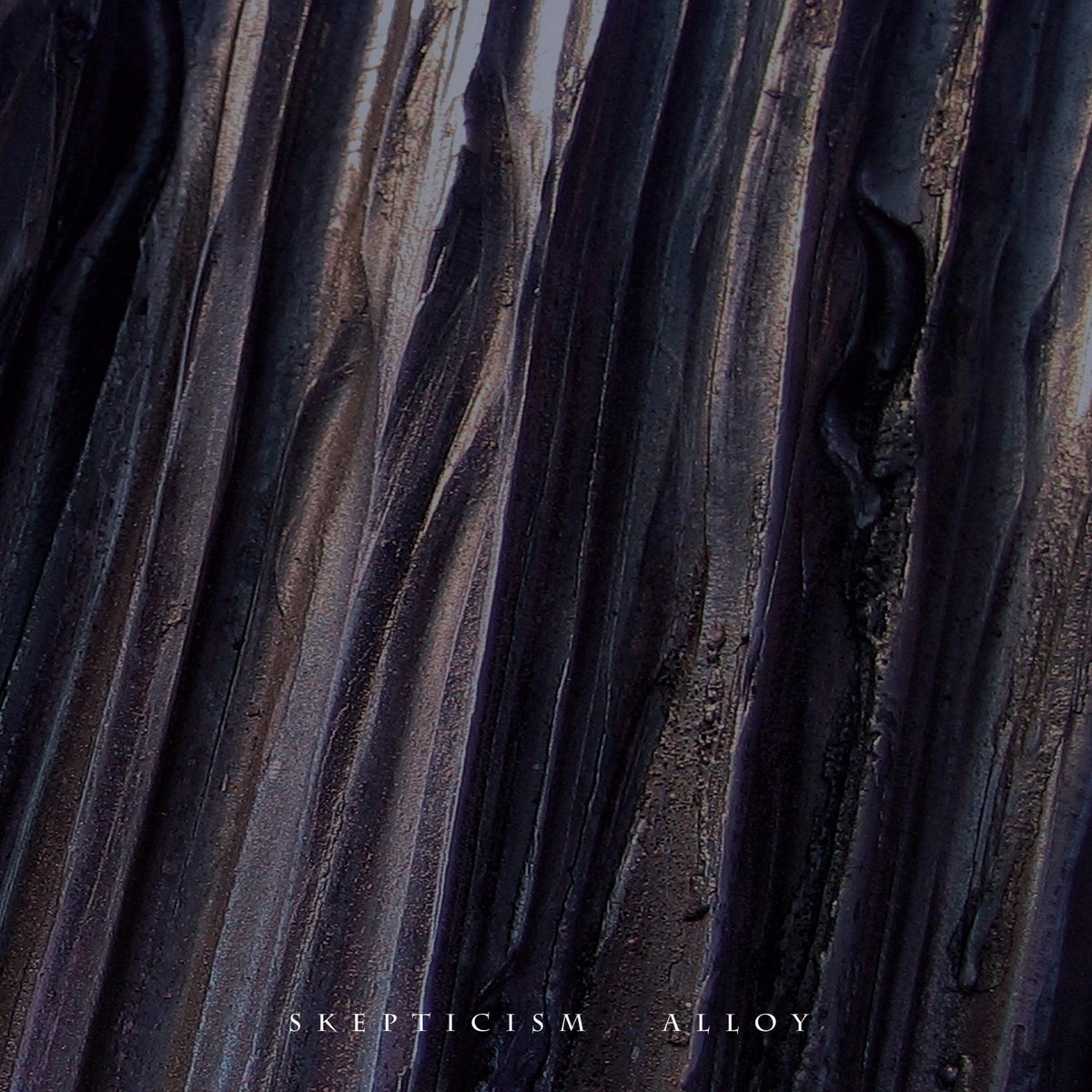 Afbeelding van Skepticism - Alloy