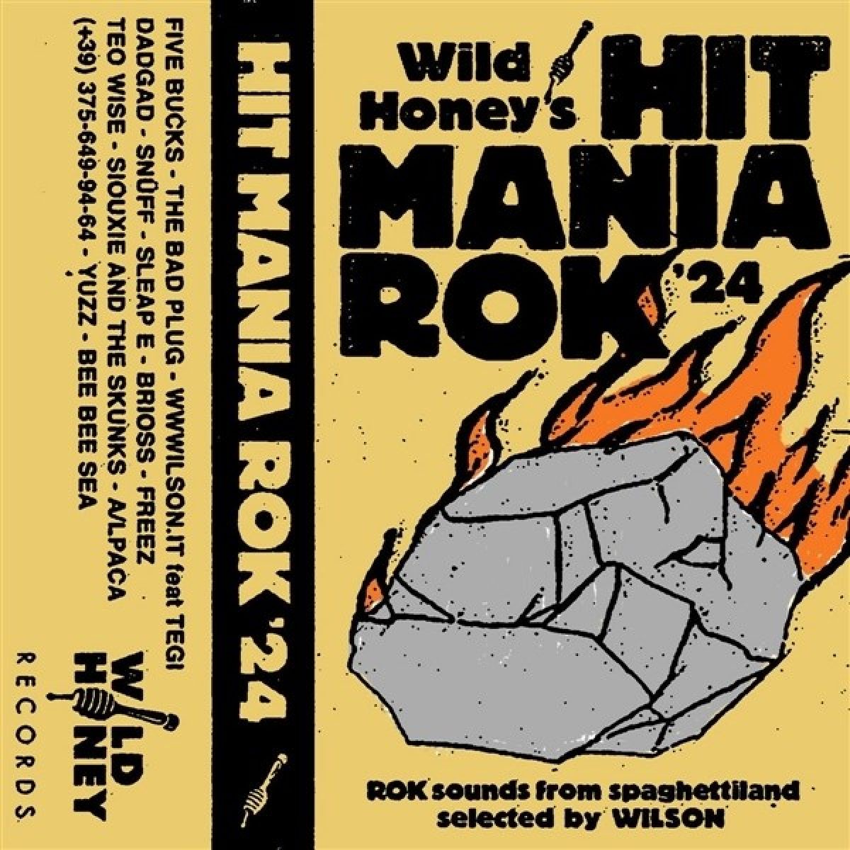 Various Artists - Hit Mania Rok '24