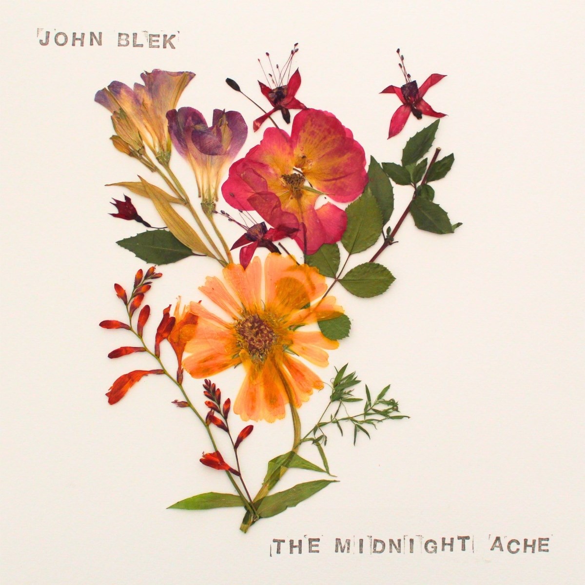 Afbeelding van John Blek - The Midnight Ache