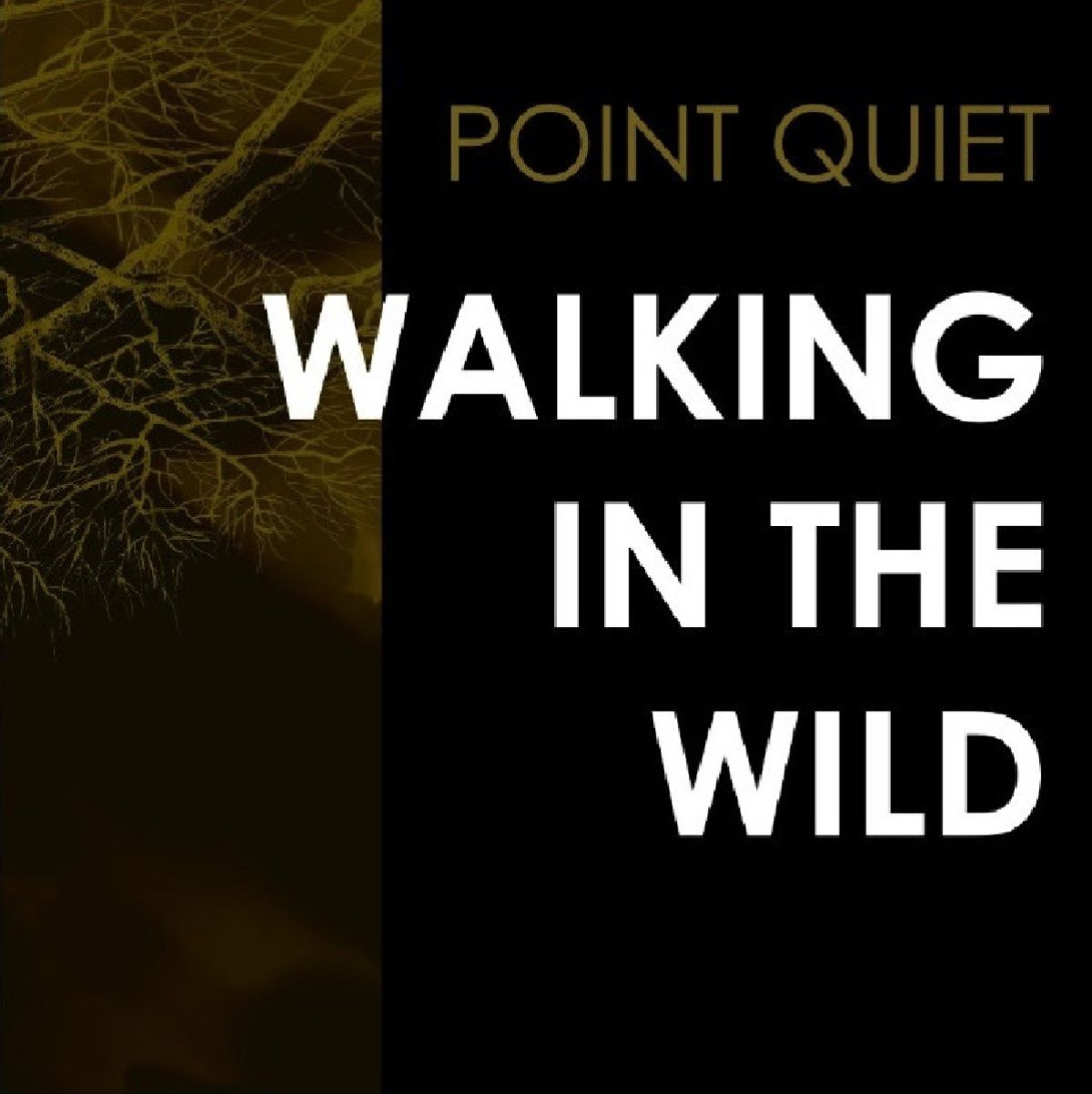 Afbeelding van Point Quiet - Walking In The Wild